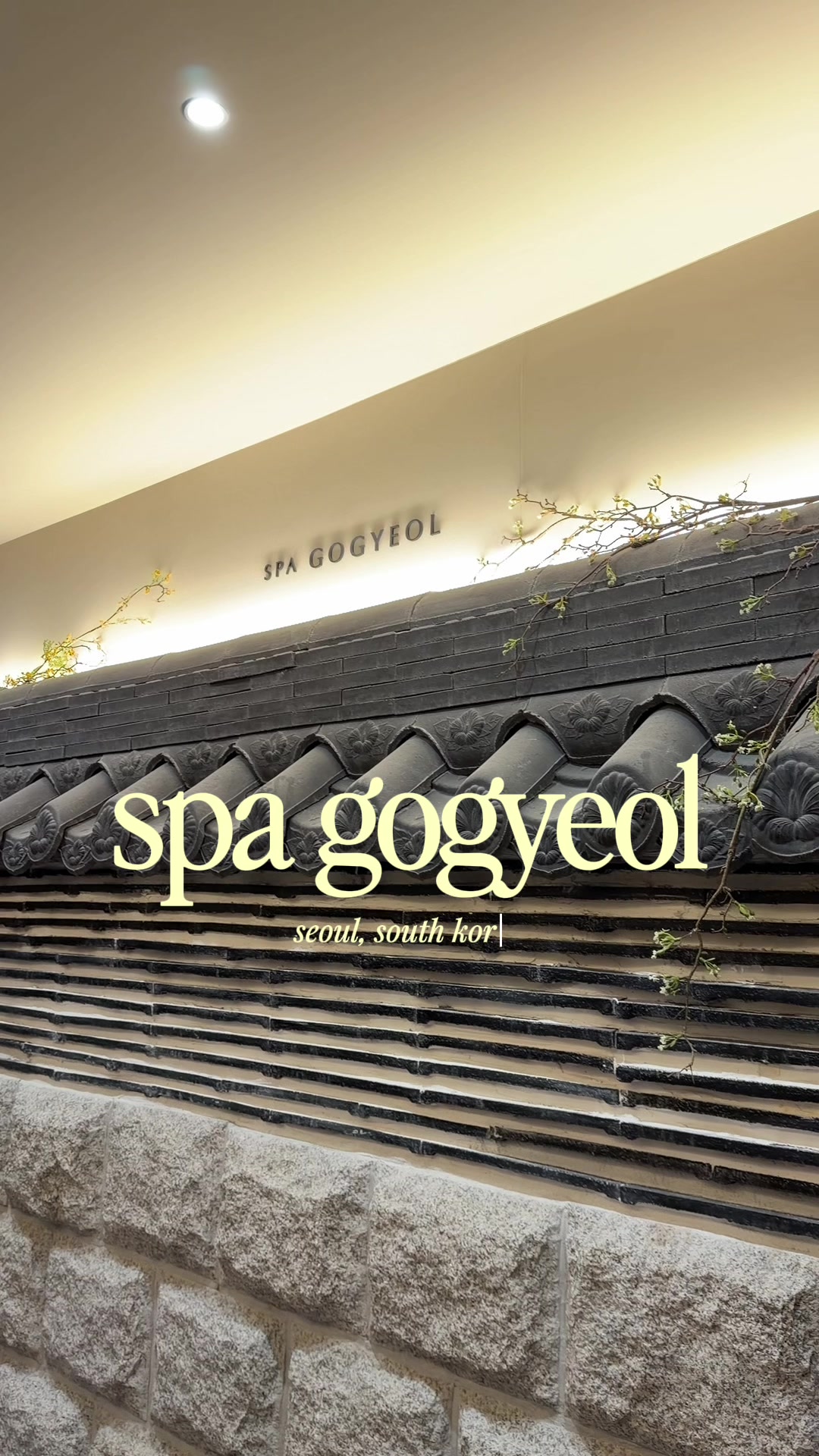 Seoul Spa Experience Features Personalized Treatments