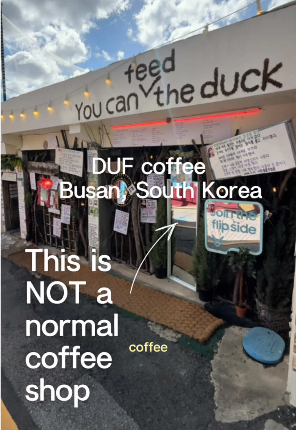 DUF Coffee Spot