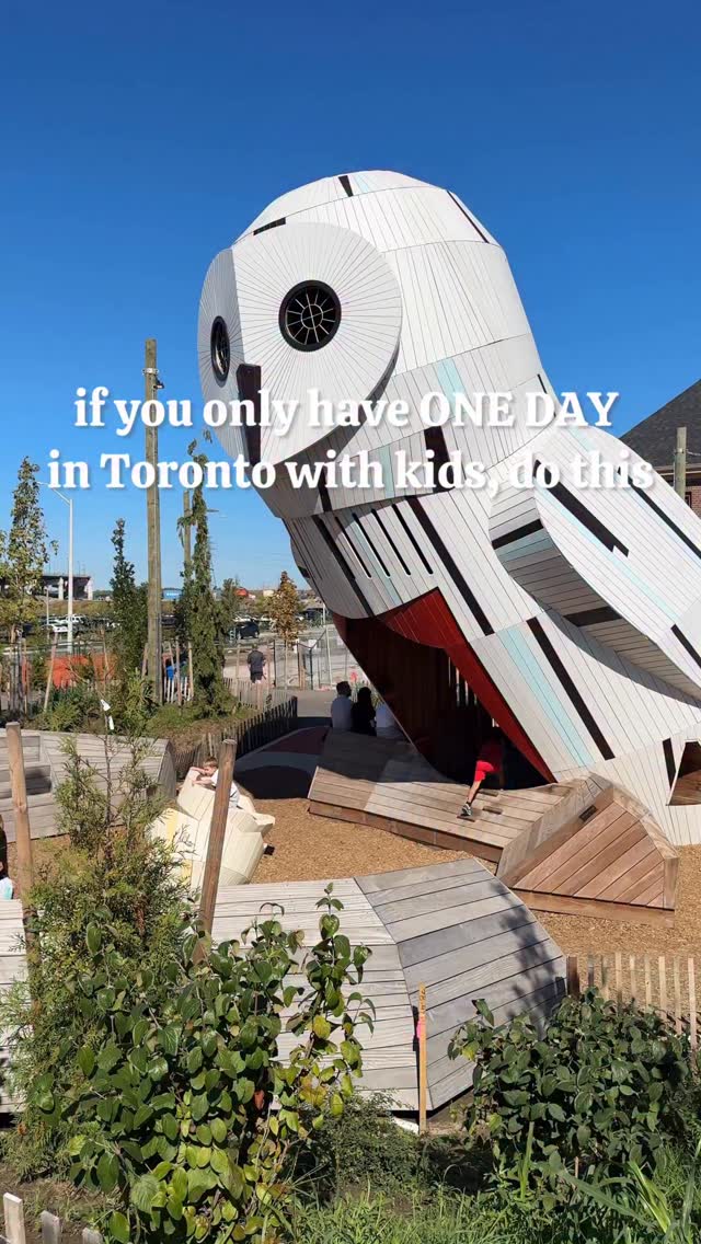Toronto's Public Spaces and Recreational Areas