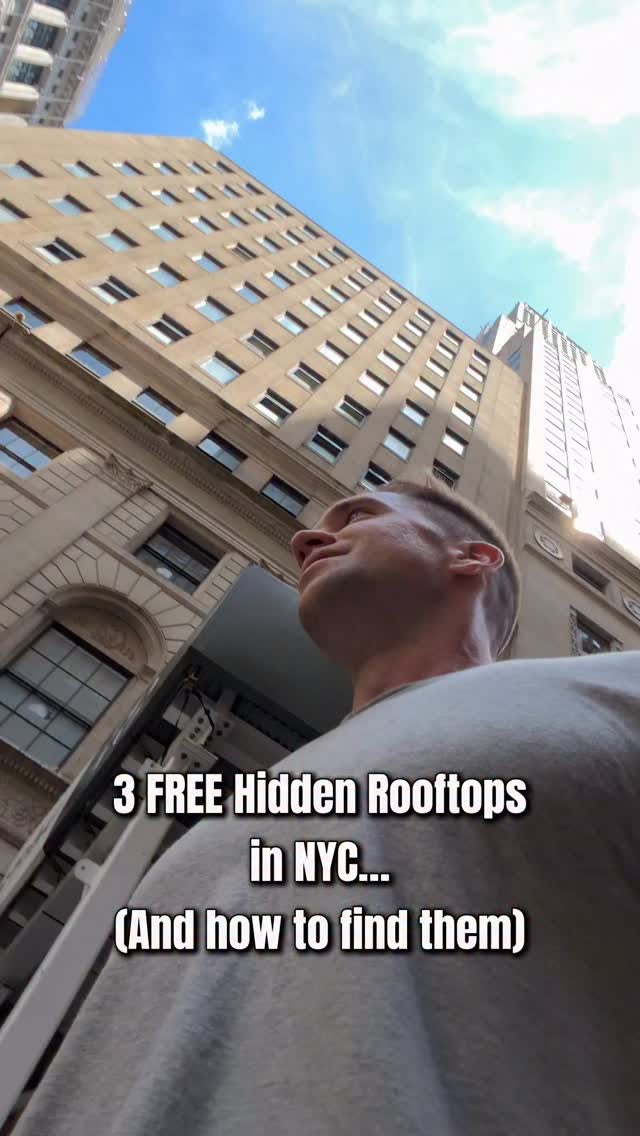New York City's Public Spaces