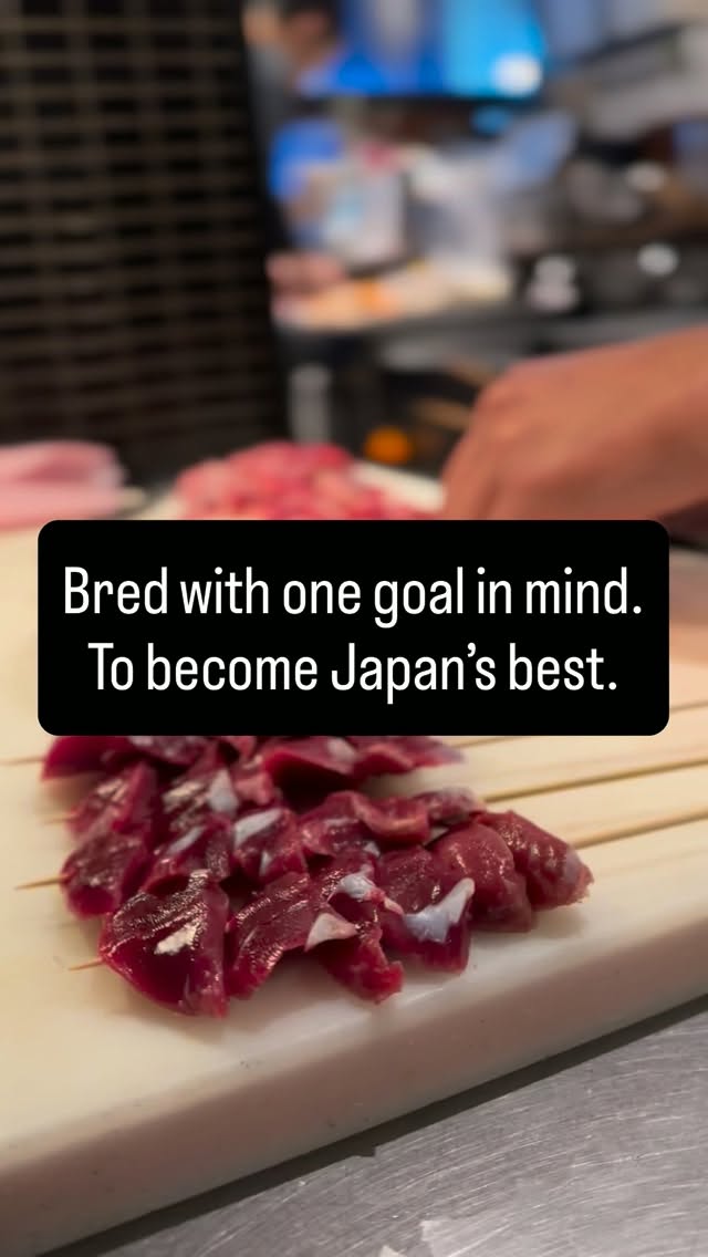 Yakitori Shimaya Features Mie's Kumano Jidori Chicken