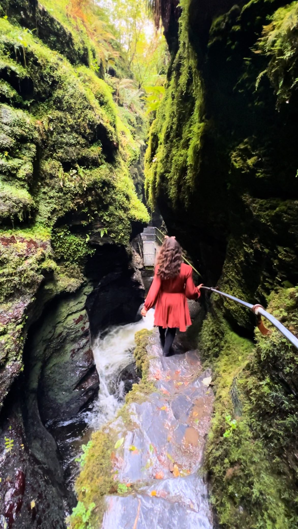 Lydford Gorge: UK's Own Rainforest
