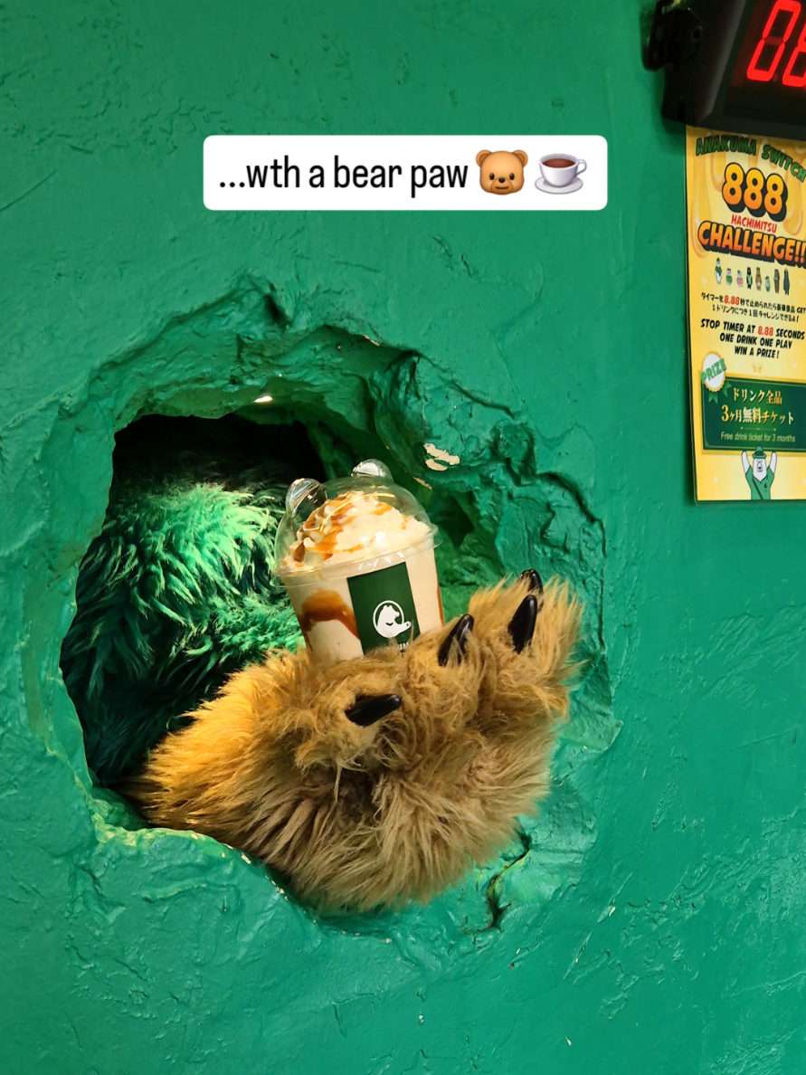 Harajuku's Animal Cafe Attraction
