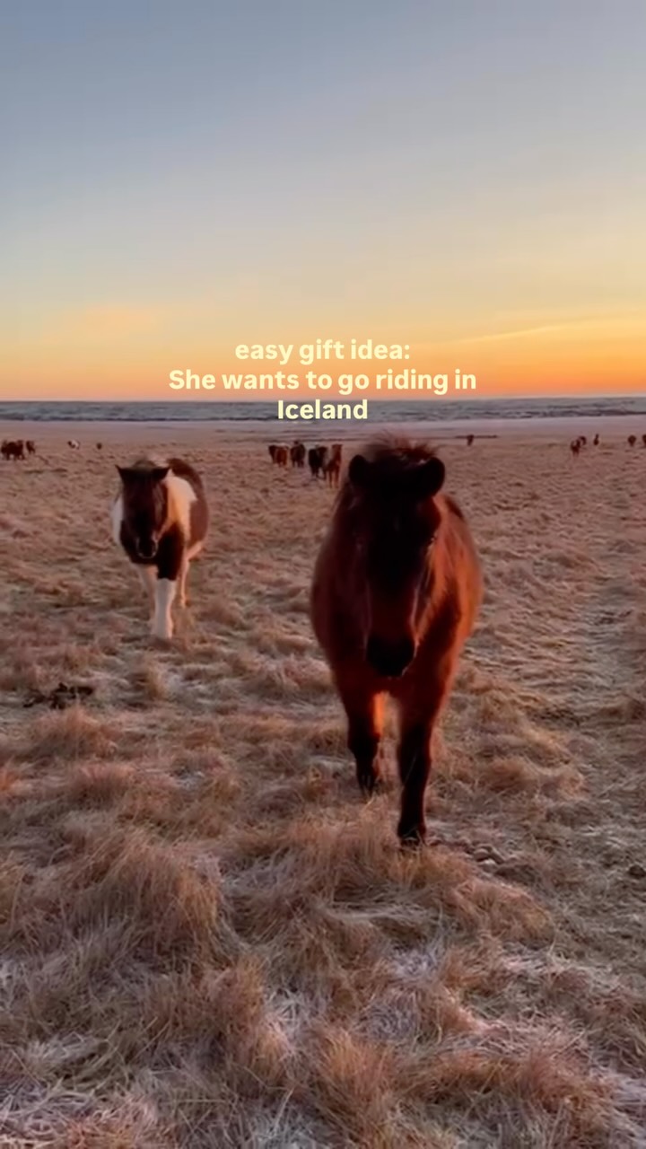 Icelandic Horseback Riding Sunset Tours