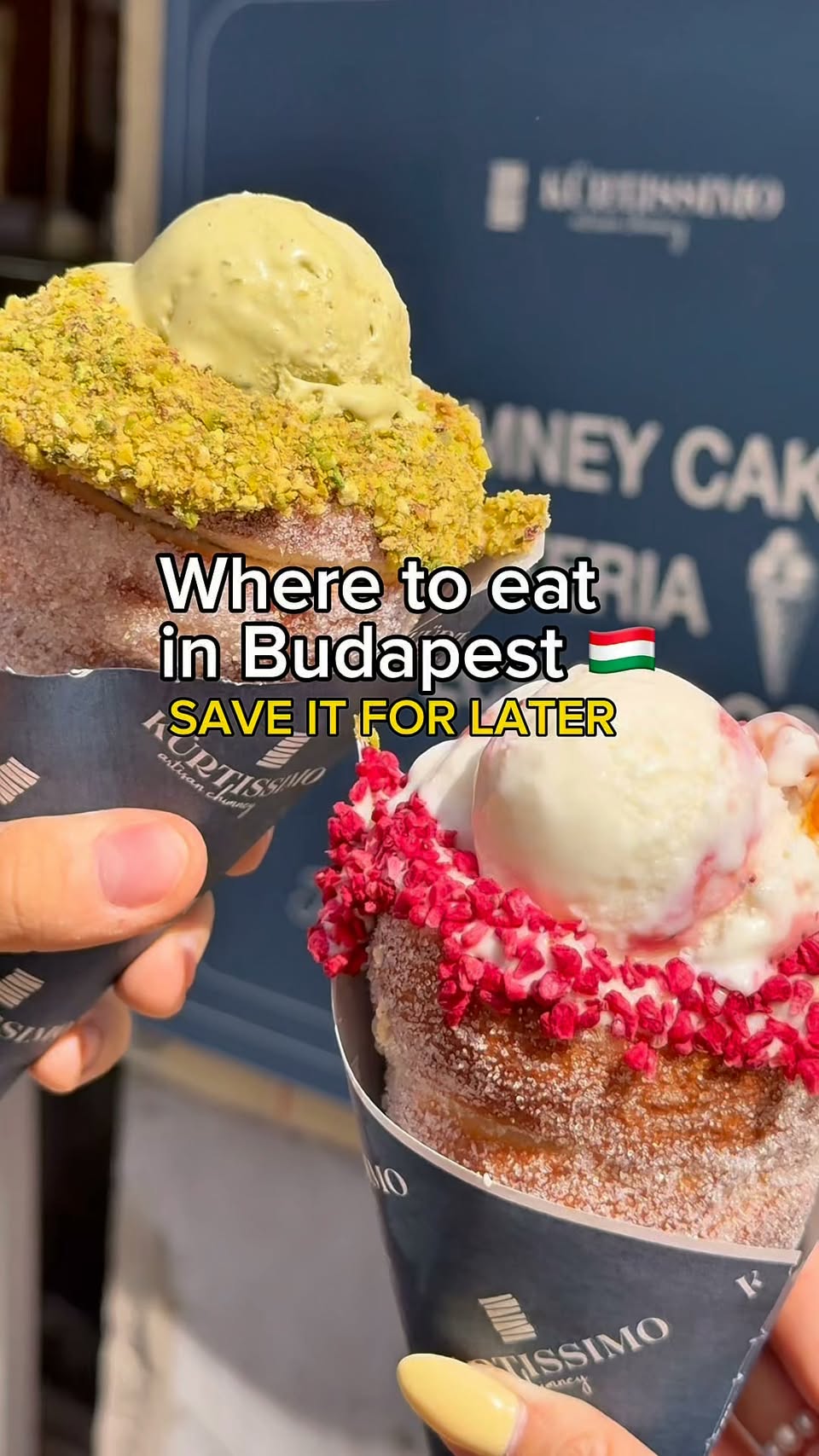 Budapest's Chimney Cake and Gelato Delights