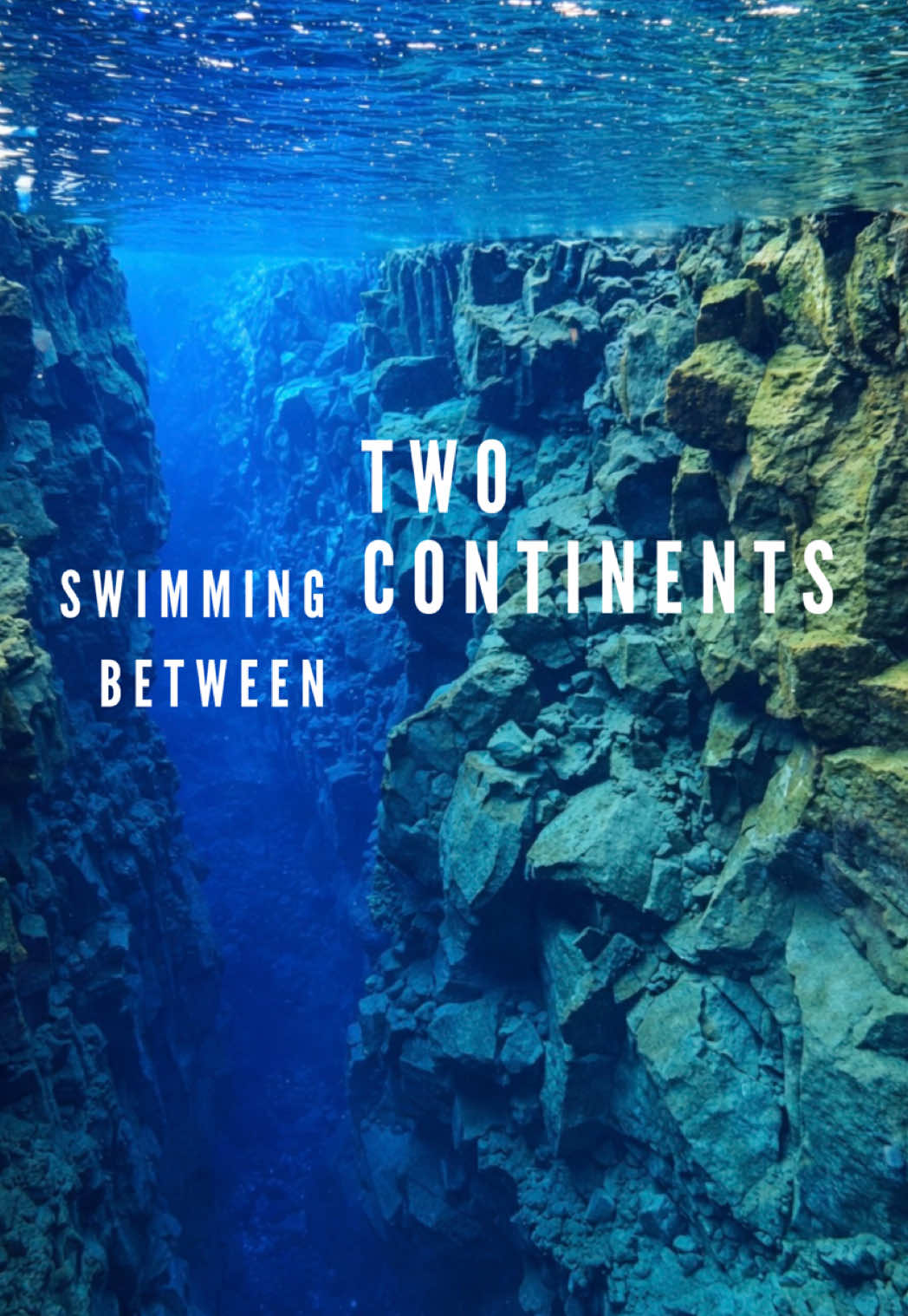 Snorkel Between Tectonic Plates In Iceland
