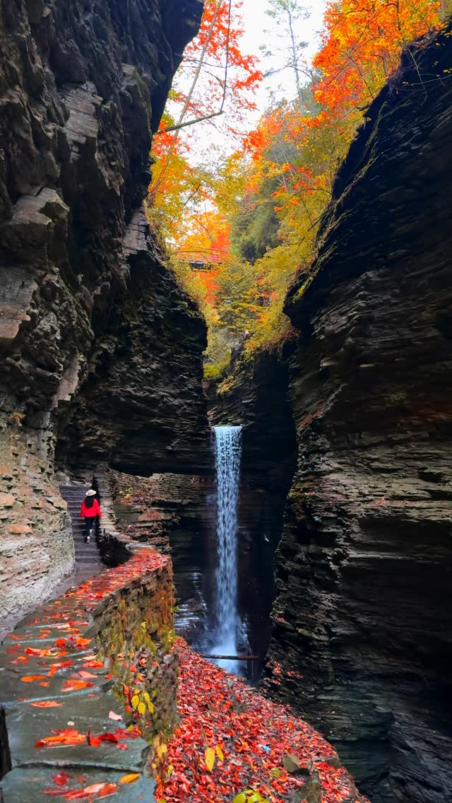Watkins Glen State Park's Waterfalls and Fall Foliage