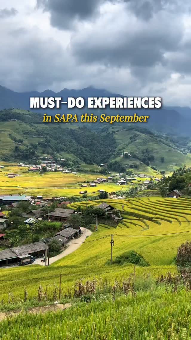 Sapa's Autumn Adventures: Ham Rong, Muong Hoa, Ô Quy Hồ