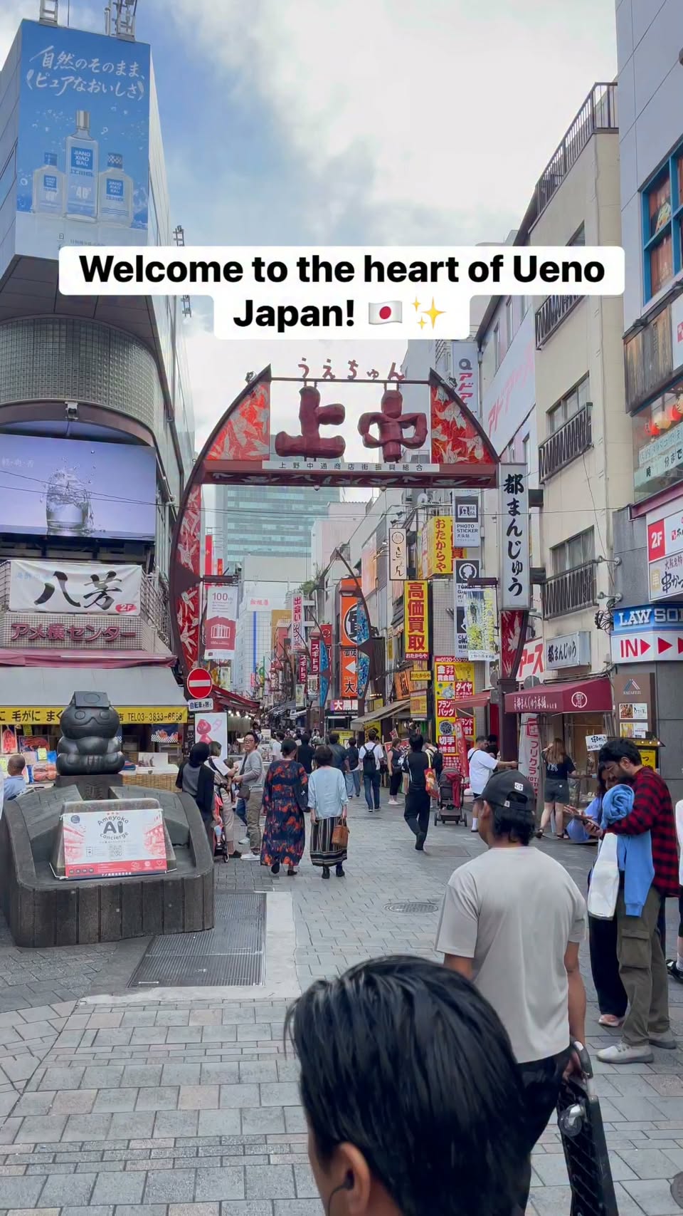 Ameyoko: Tokyo's Lively Shopping Street