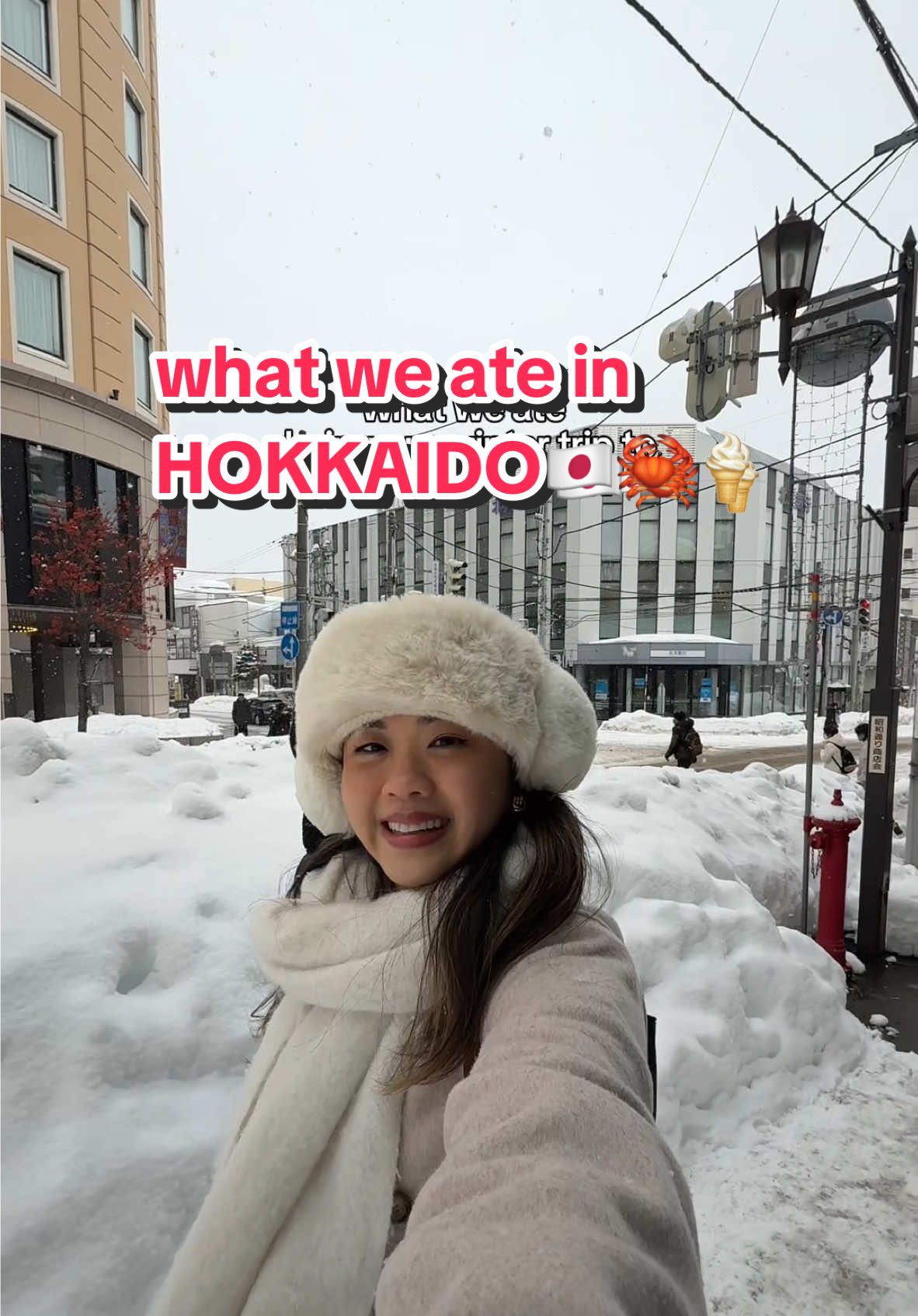 Hokkaido Foodie Adventures: Soup Curry, Ramen, and Crab