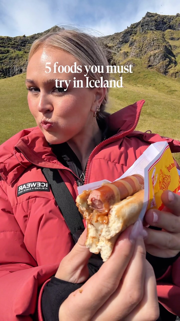 Reykjavik Food Walk And Hot Dog Stand