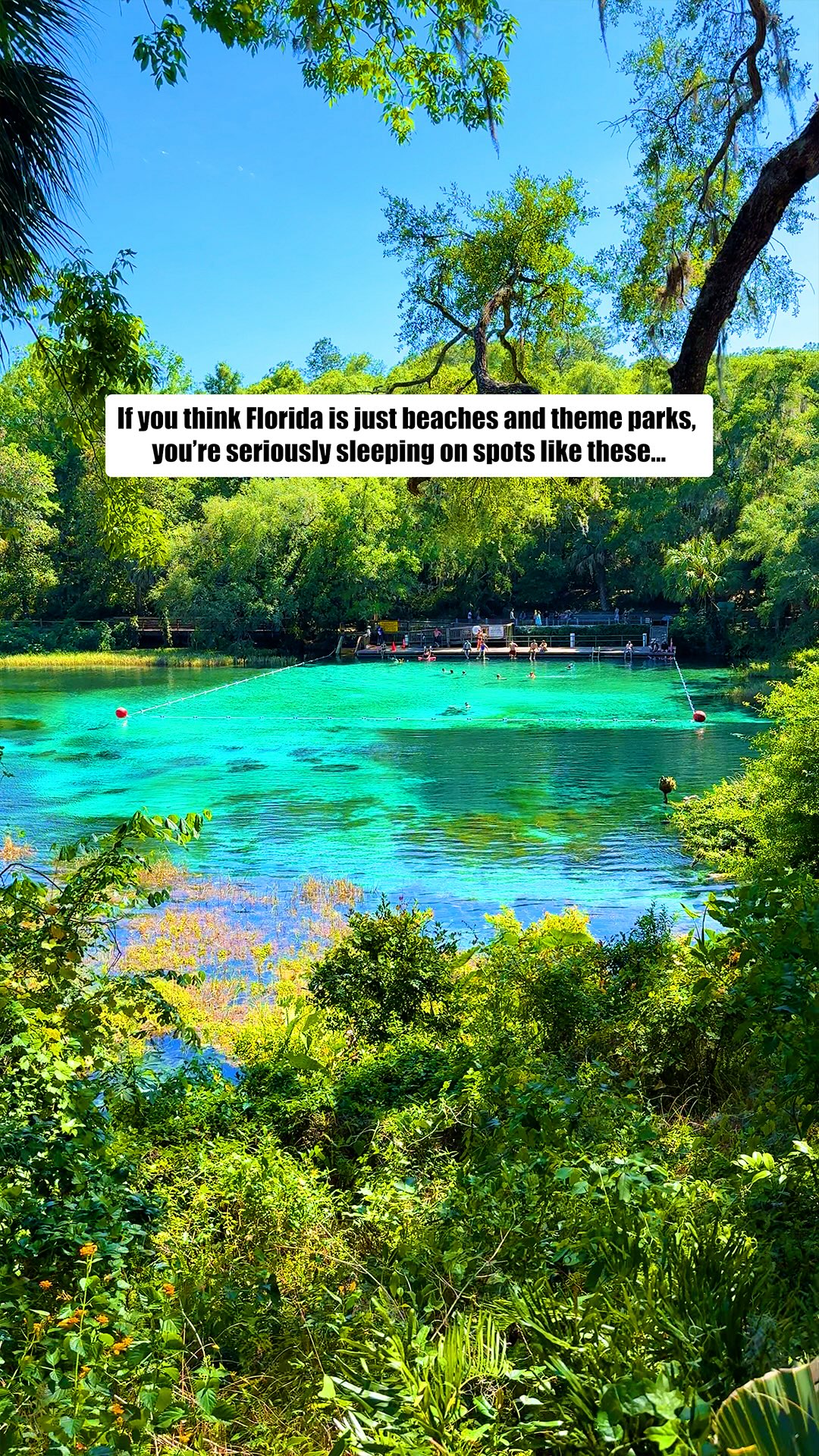 Ocala's Natural Wonders and Adventure Parks