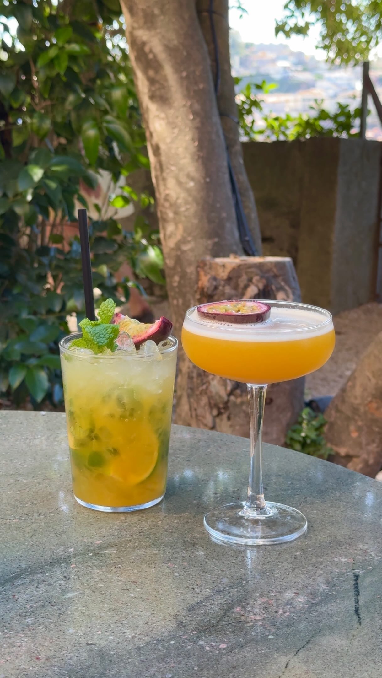 BOSCO Porto: A Hidden Garden Bar