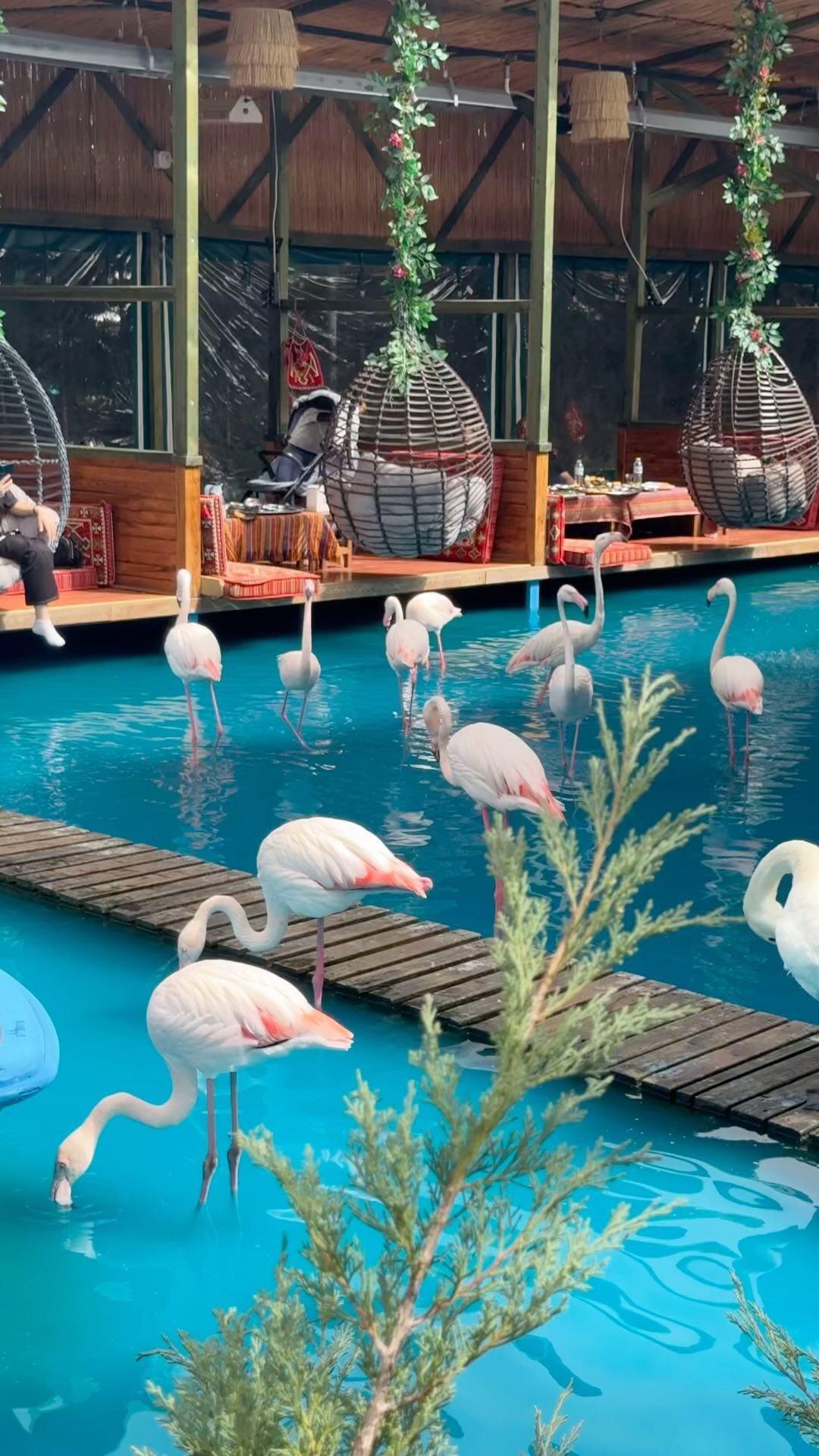 Kuğuköy Restaurant: A Scenic Lakeside Dining Experience