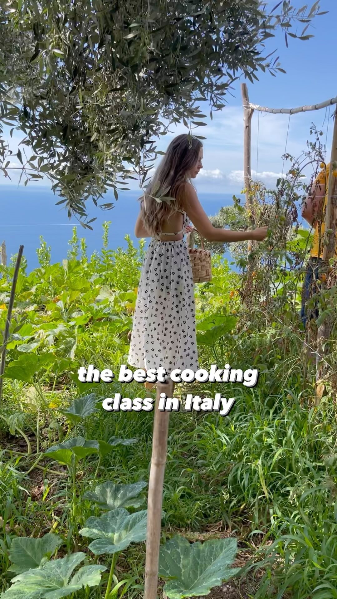 La Tagliata: Fresh Pasta, Wine, and Breathtaking Views