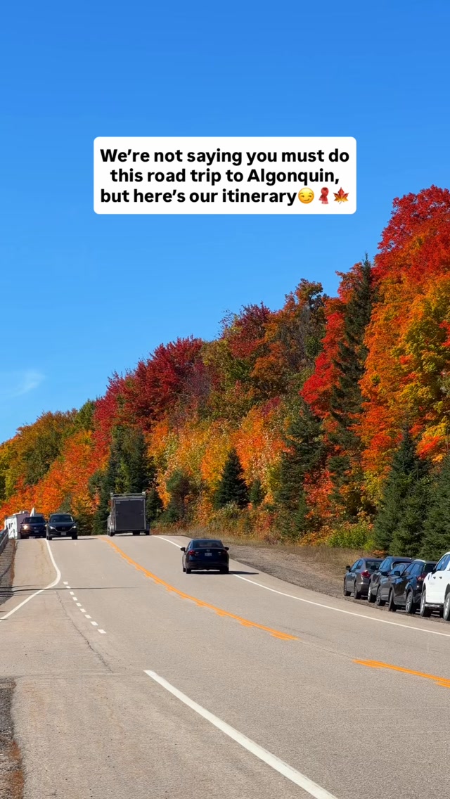 Algonquin Park Fall Road Trip Itinerary