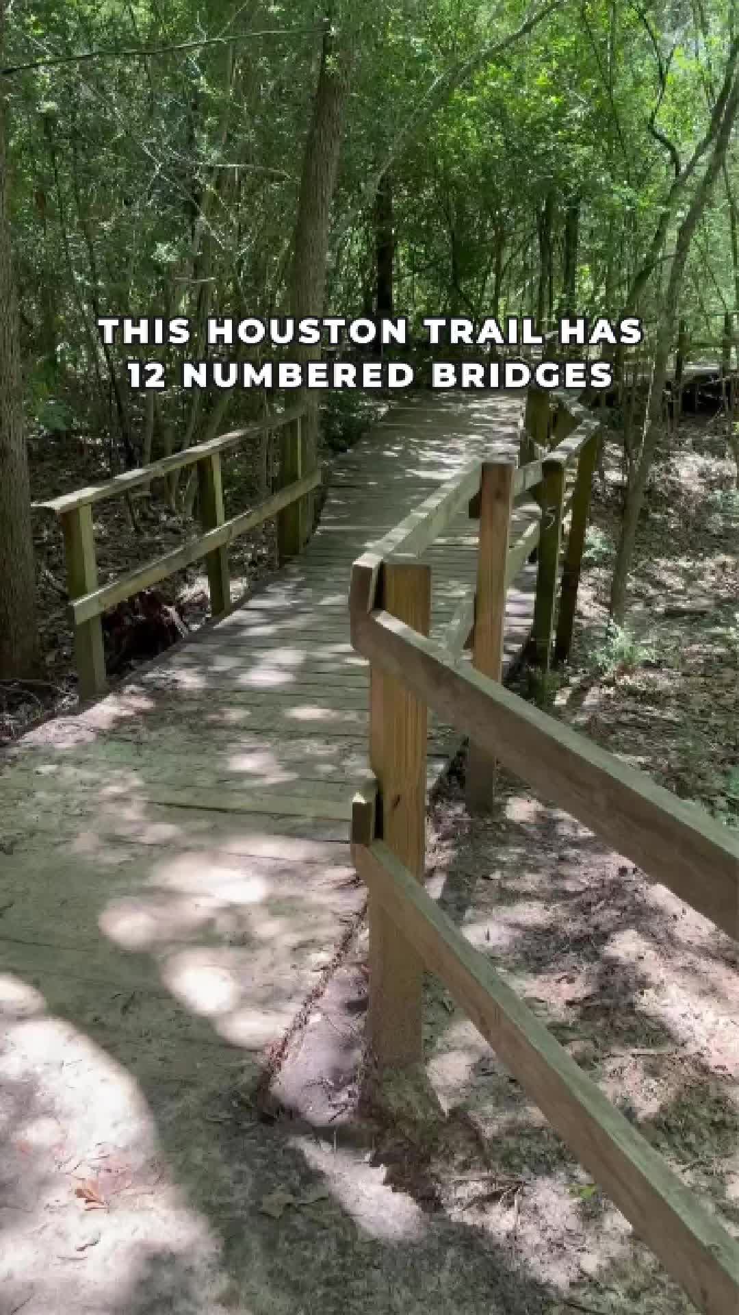 Houston Nature Sanctuary Creekside Trail Bridges