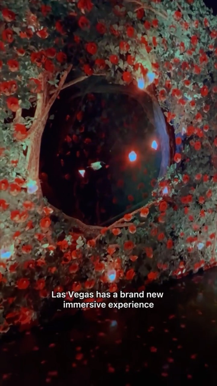 Immersive 5D Art Experience Opens on Las Vegas Strip