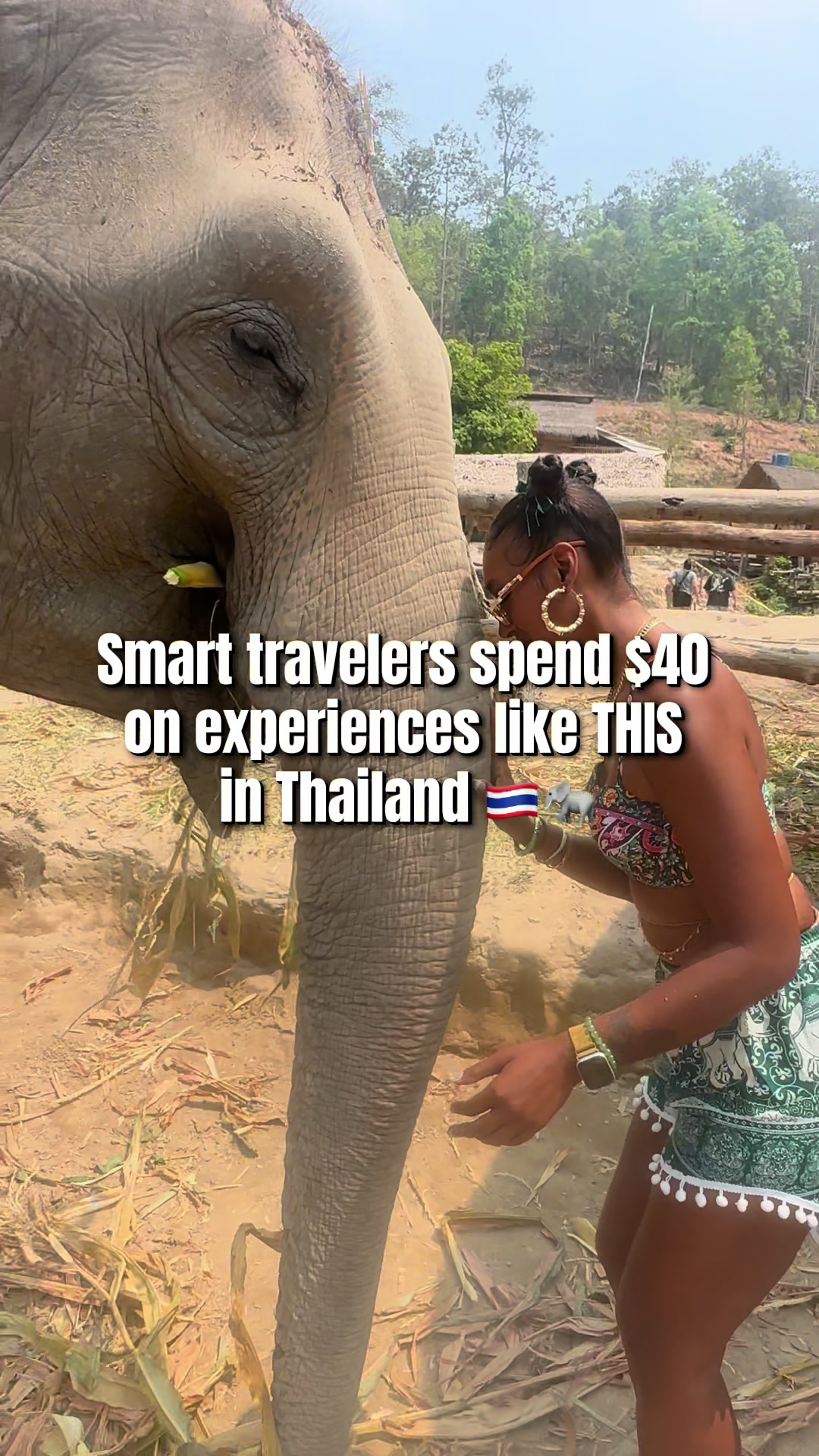 Ethical Elephant Sanctuary in Chiang Mai, Thailand