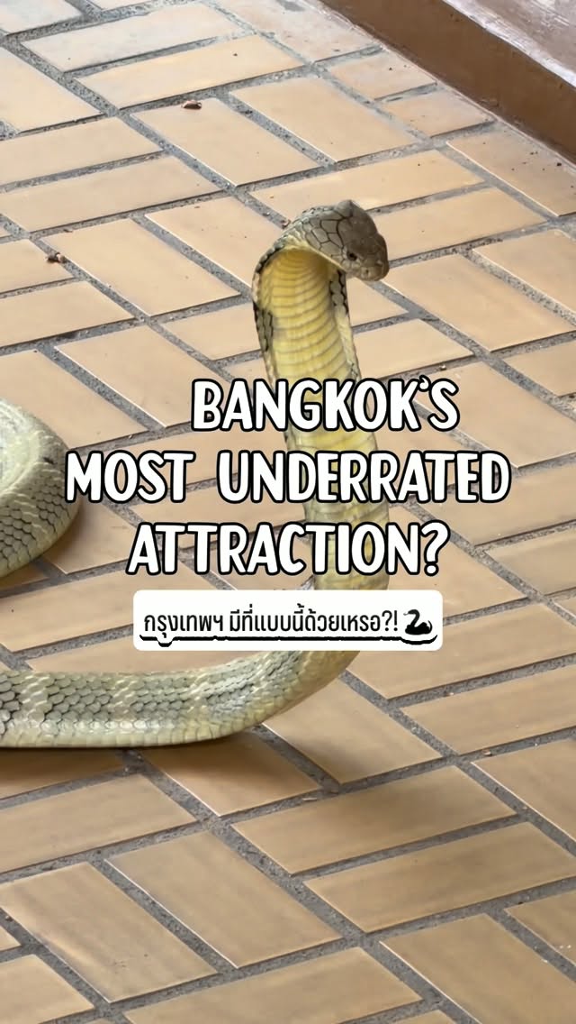 Bangkok's Educational Snake Farm And Park