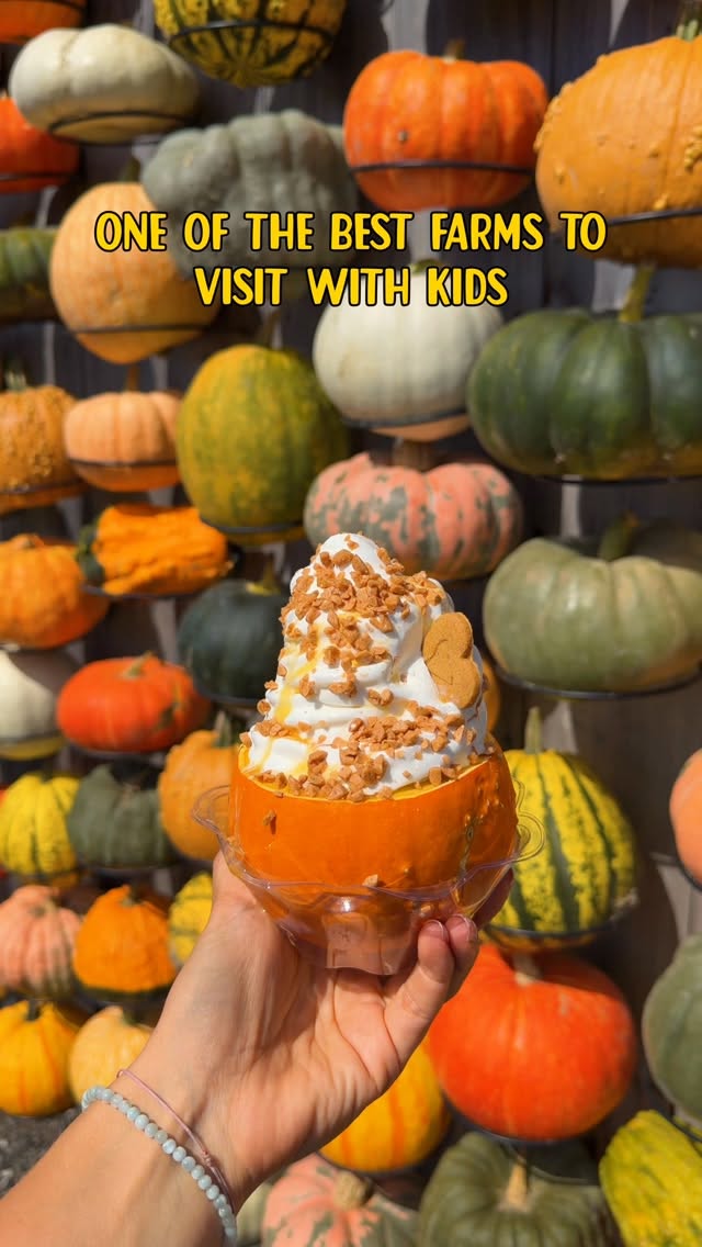 Farm Stand Offers Pumpkins, Cows, and Pies