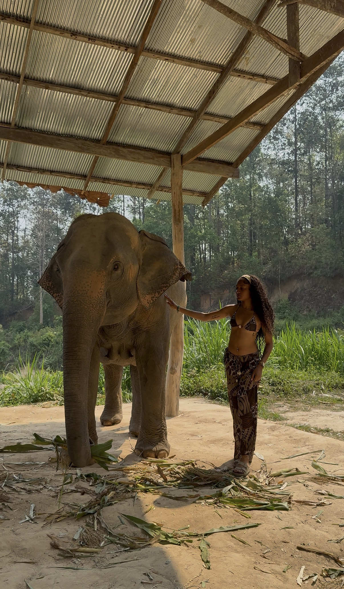 Thailand Travel: Bangkok, Chiang Mai, Phuket Stays