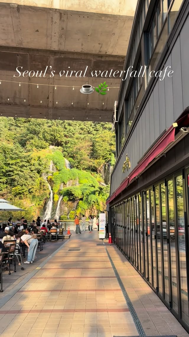 Seoul Waterfall Cafe Captures Viral Attention
