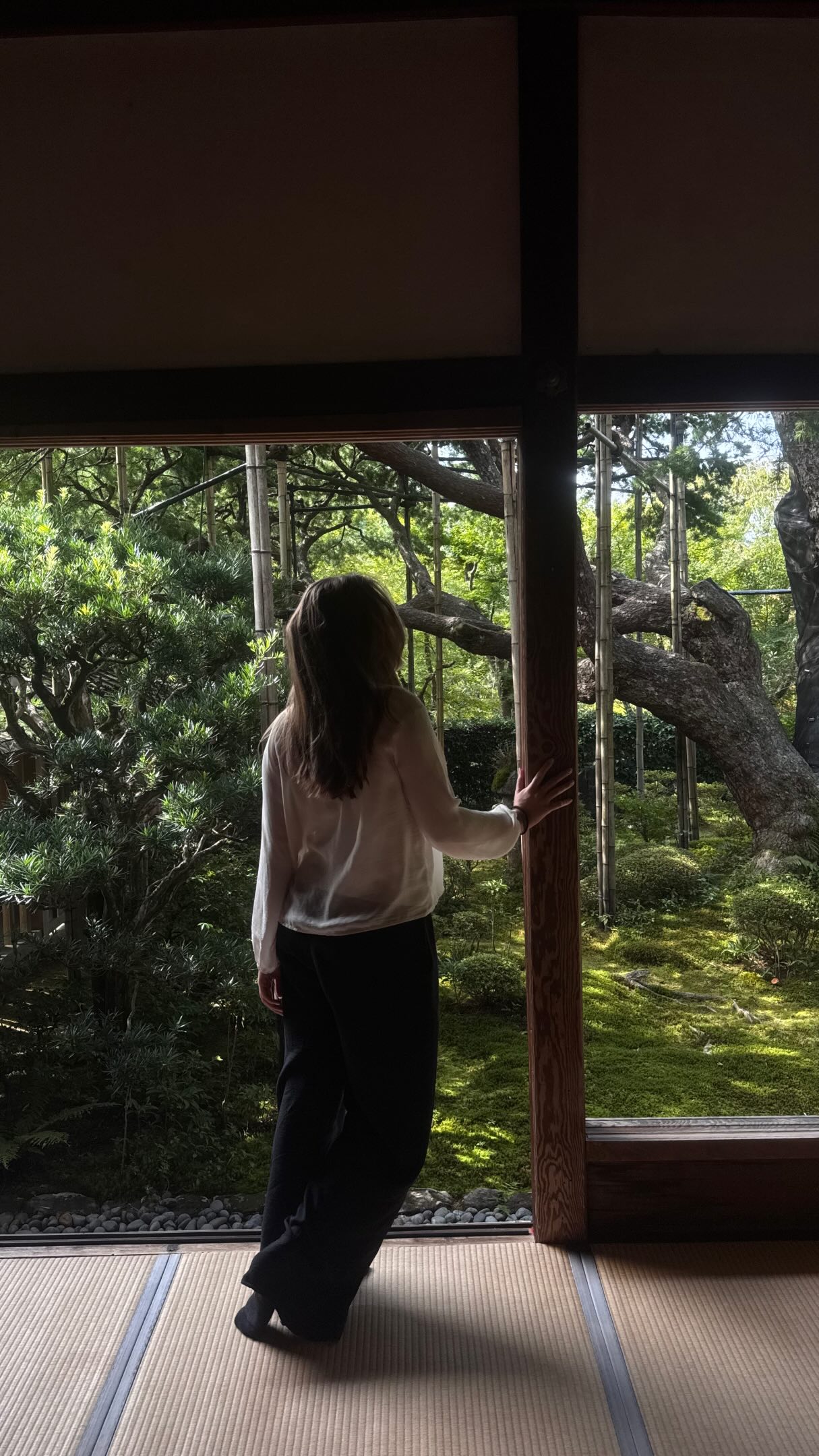 Kyoto Countryside Temples And Gardens
