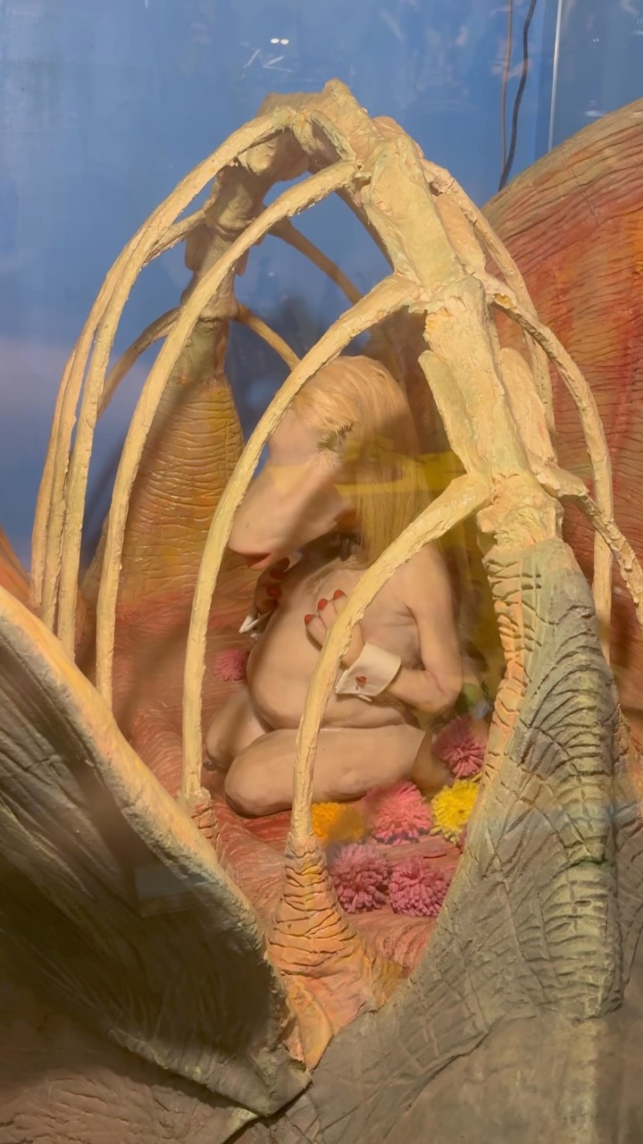 The Weird Museum of Boys and Girls