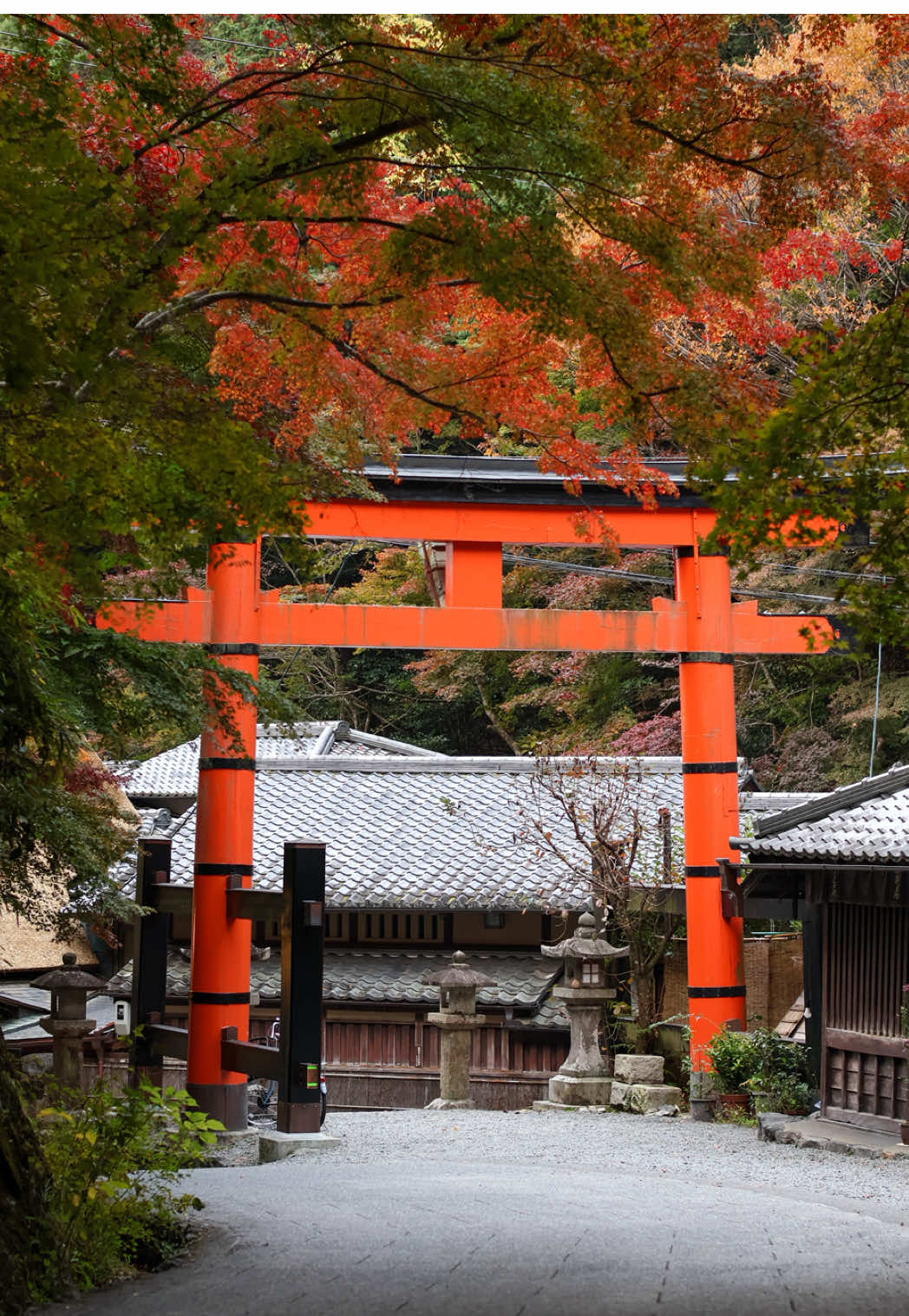 Kyoto's Best Temples, Markets, and Nature Spots