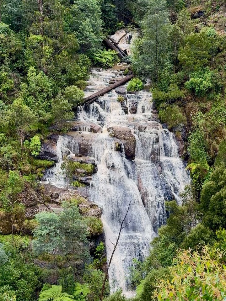 East Melbourne's Top Waterfalls To Visit Now