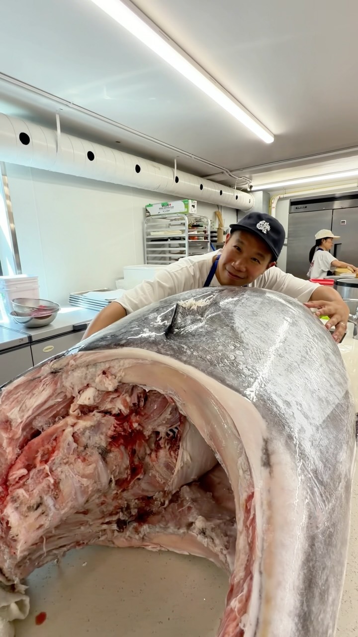 Omakase Tuna Experience With Bluefin Tuna