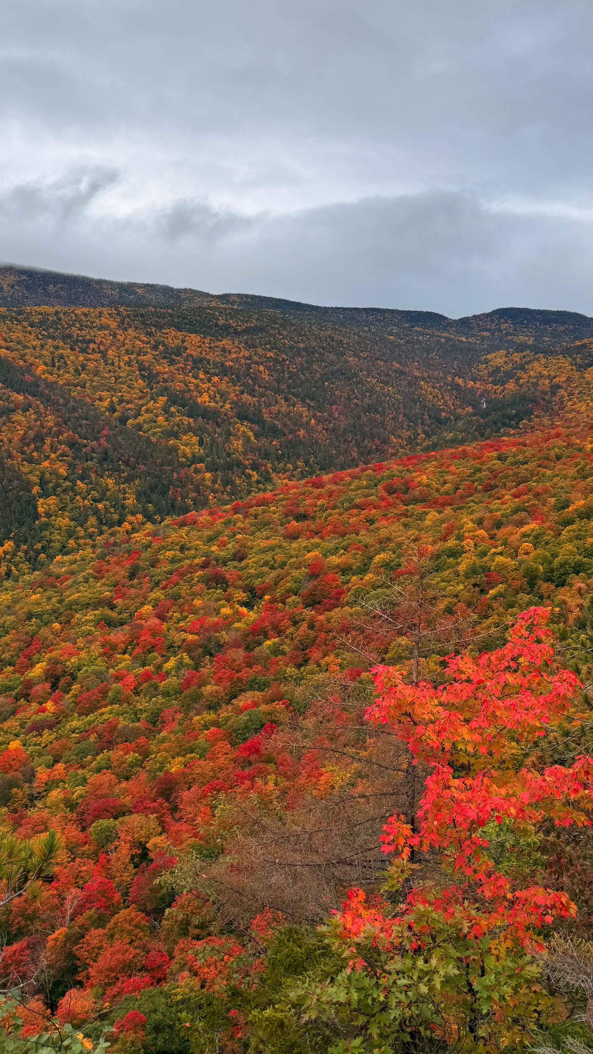 White Mountains Autumn Foliage Destinations