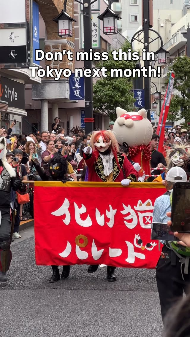 Tokyo's Cat-Themed Festivals and Cafes