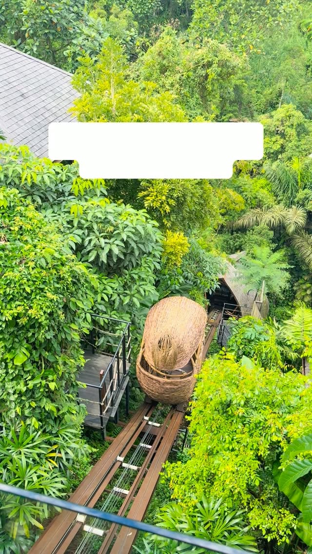 Jungle Spa Retreat Offers Ultimate Relaxation