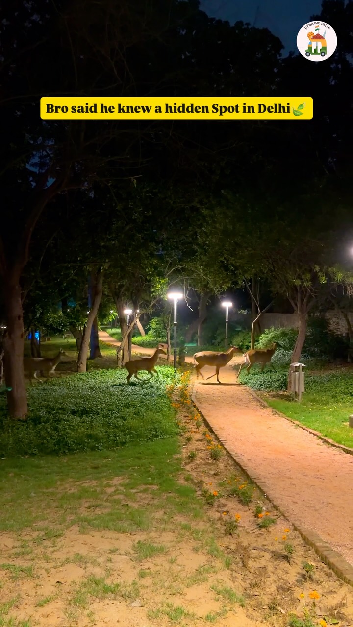 Delhi's Ancient Heritage at Mehrauli Archaeological Park