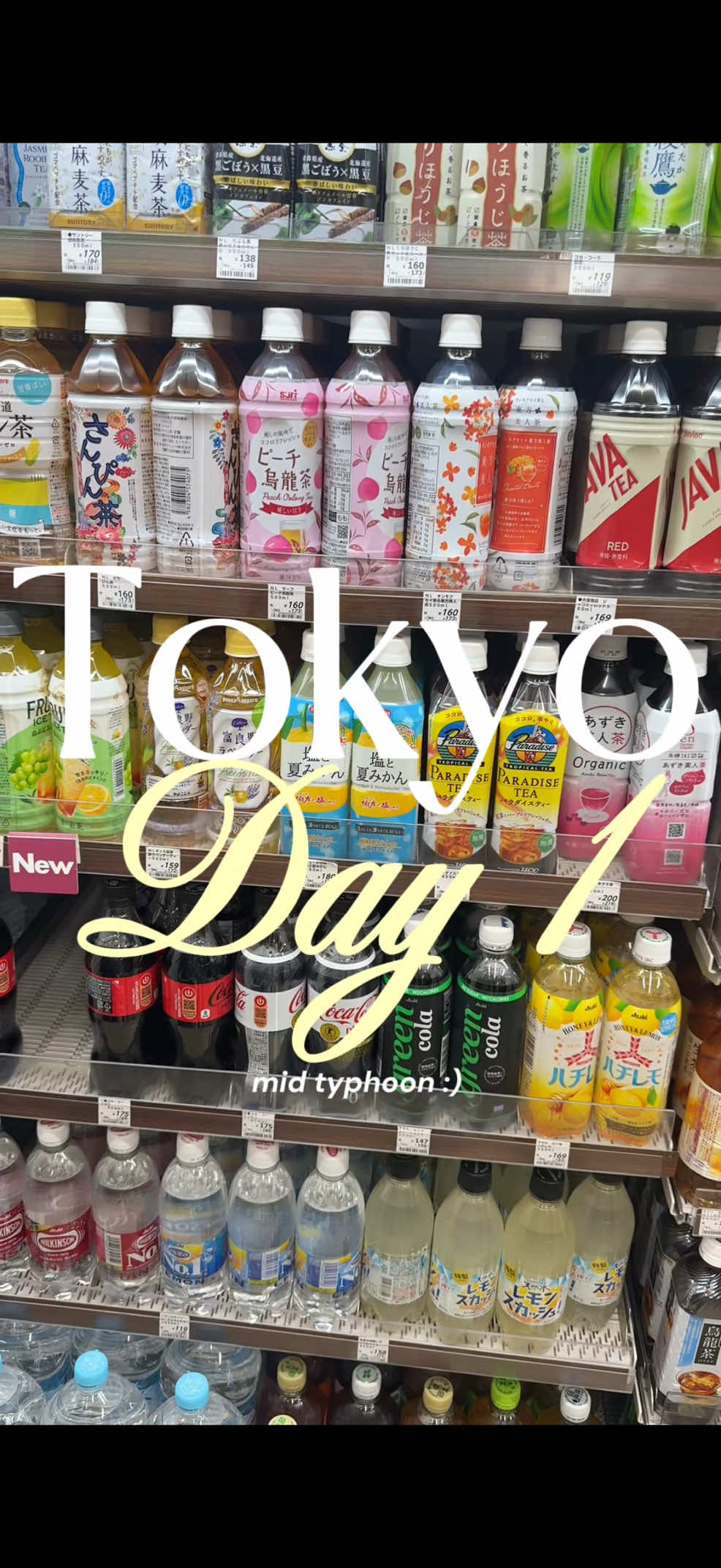 Tokyo Retail Spots Offer Unique Shopping Experiences