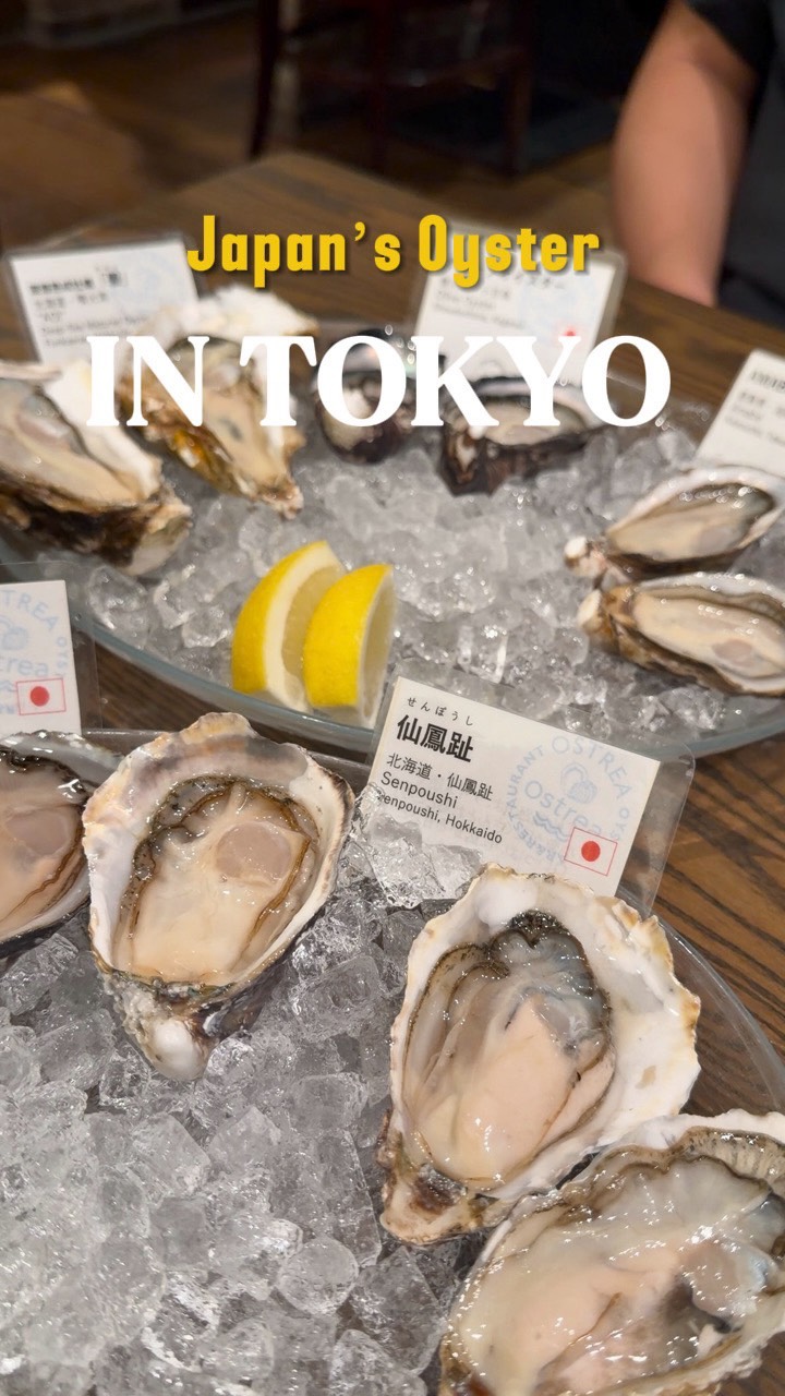 Ostrea Ginza Corridor: Tokyo's Oyster Destination