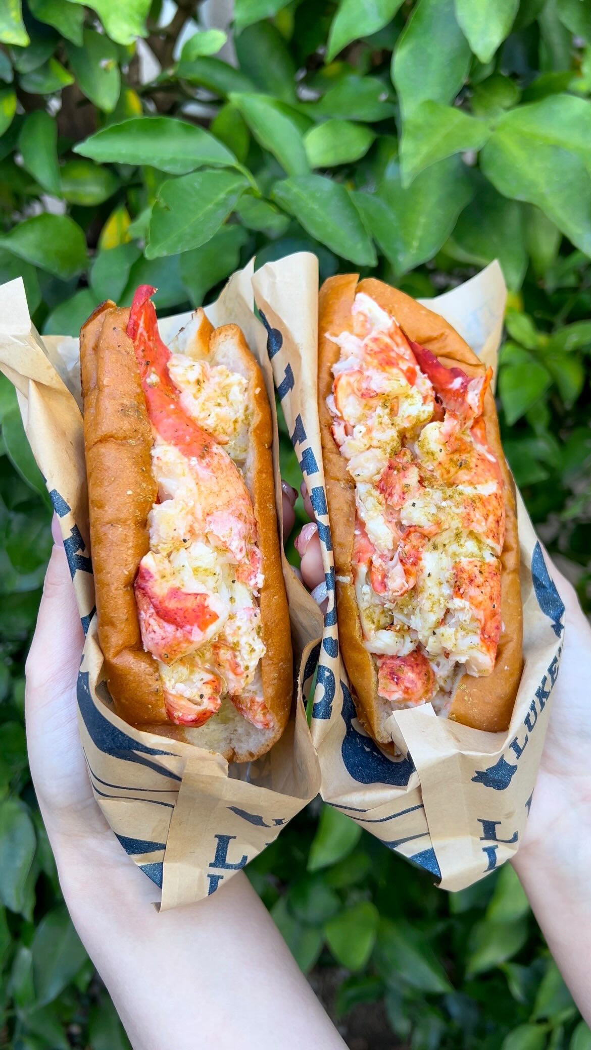 Bold Lobster Rolls In Tokyo