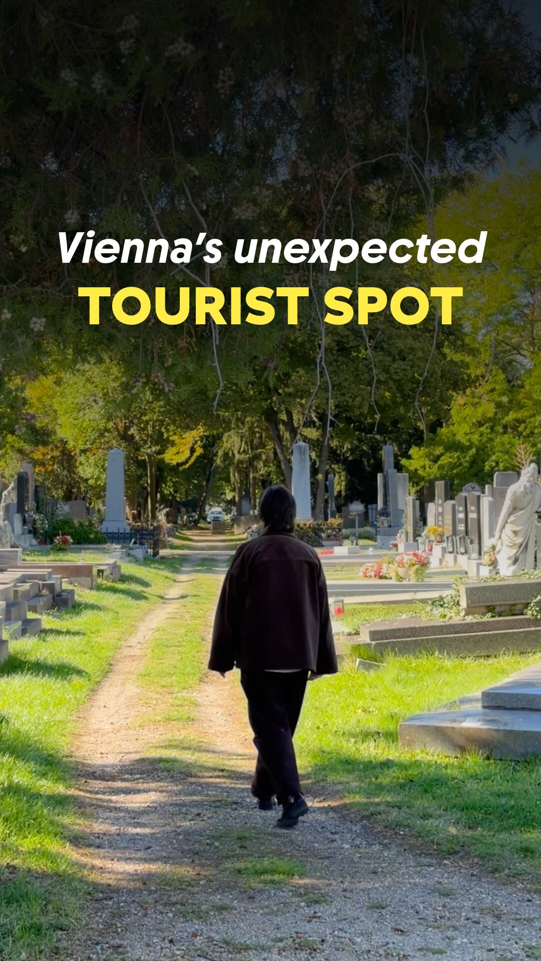 Vienna Cemetery Offers Walks, Wildlife, and Architecture