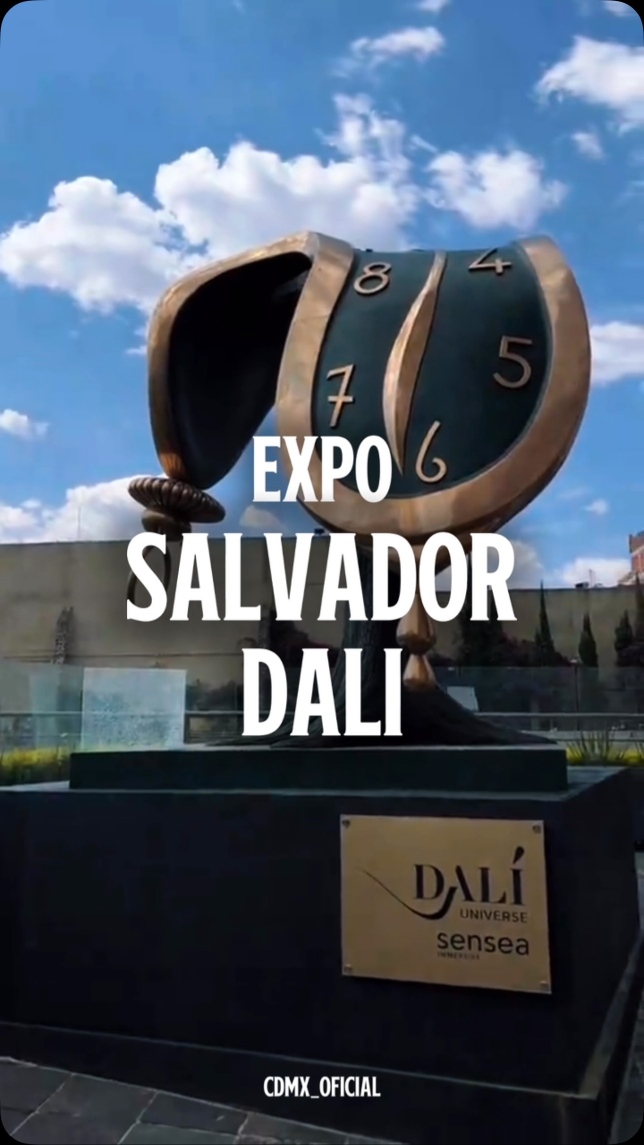 Salvador Dalí Exhibition at UNAM's Palacio