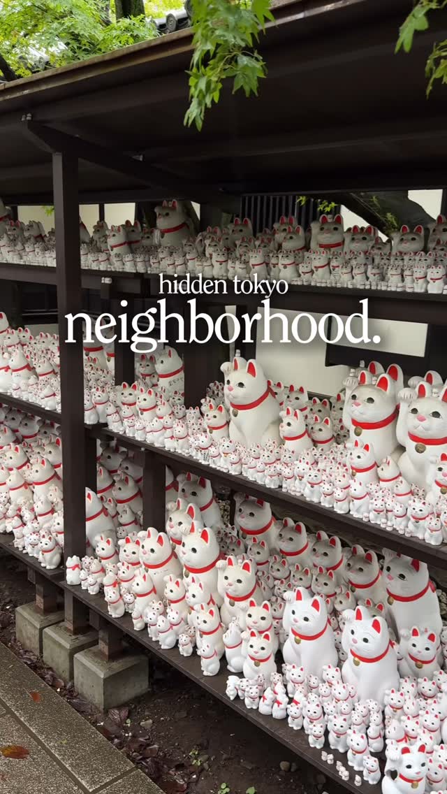 Tokyo Neighborhood Gems: Temple, Thrifting, and Treats