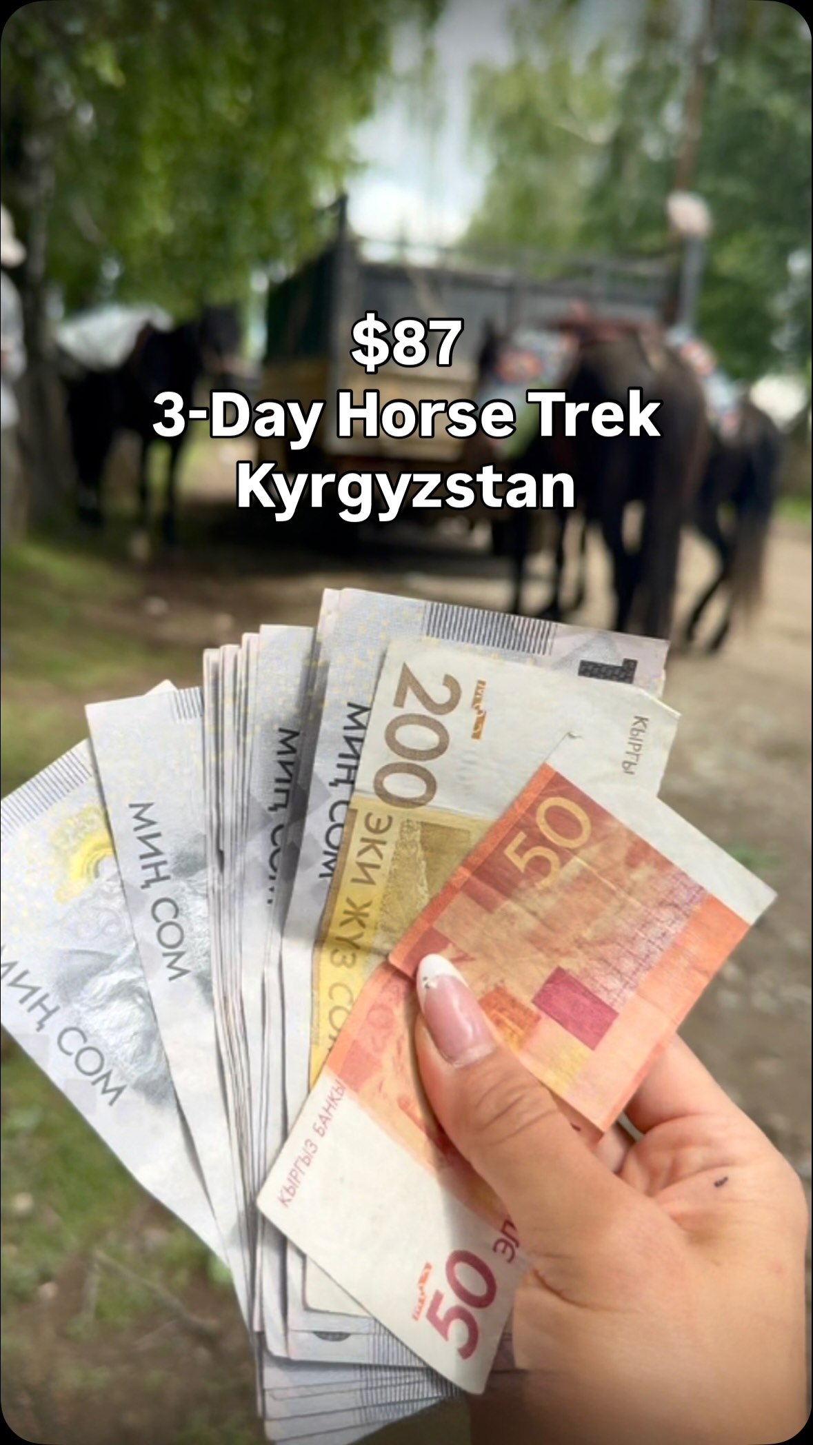 Horseback Riding Adventure Through Kyrgyzstan's Mountains
