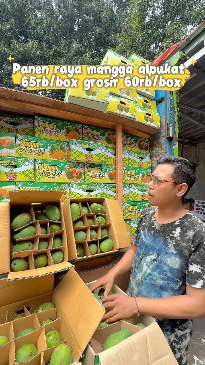 Indonesian Mangoes With Delicious Fruit