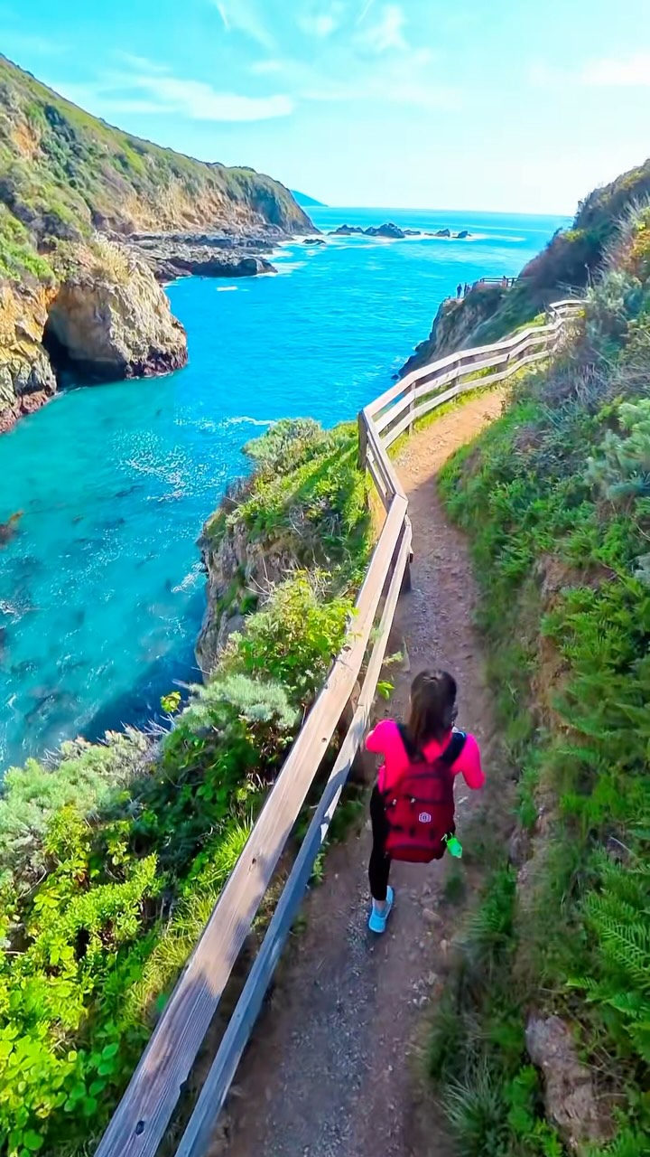 Partington Cove Trail's Scenic Coastal Hike