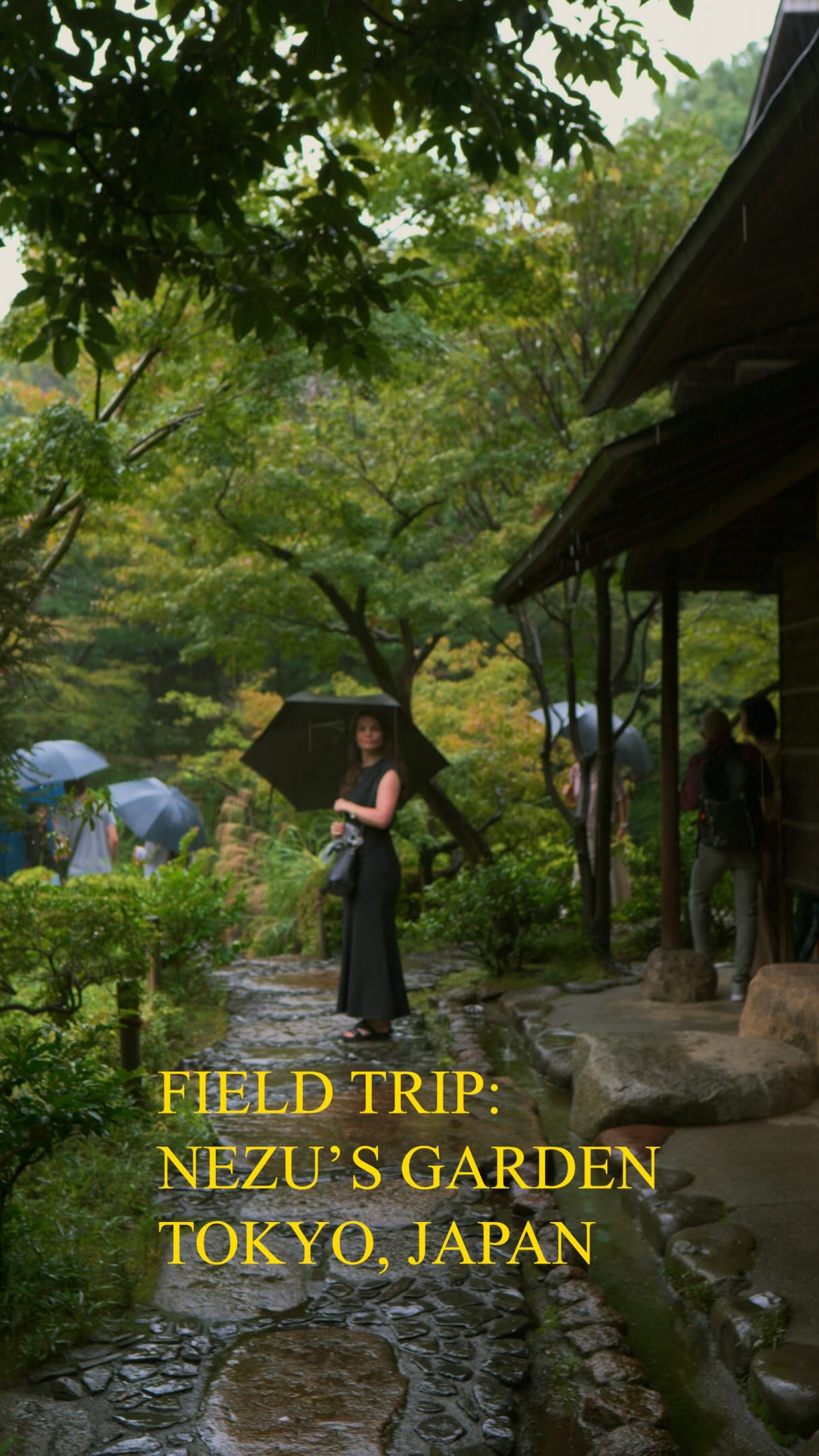 Nezu Museum Garden's Naturalistic Beauty