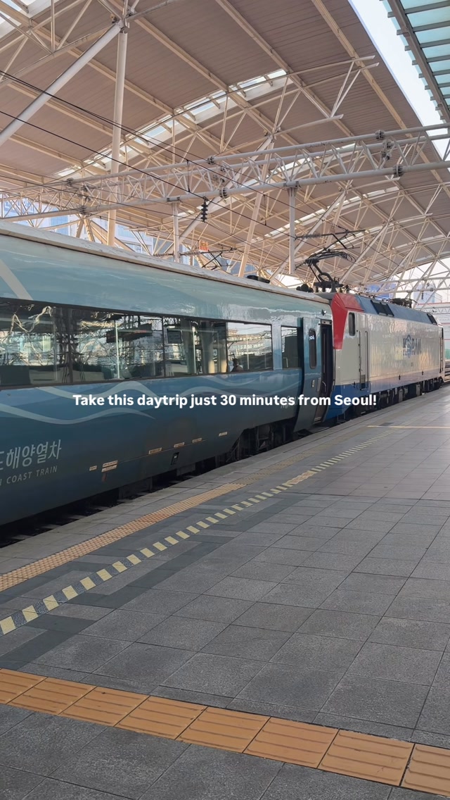 Suwon Day Trip: Fortress to Modern Attractions