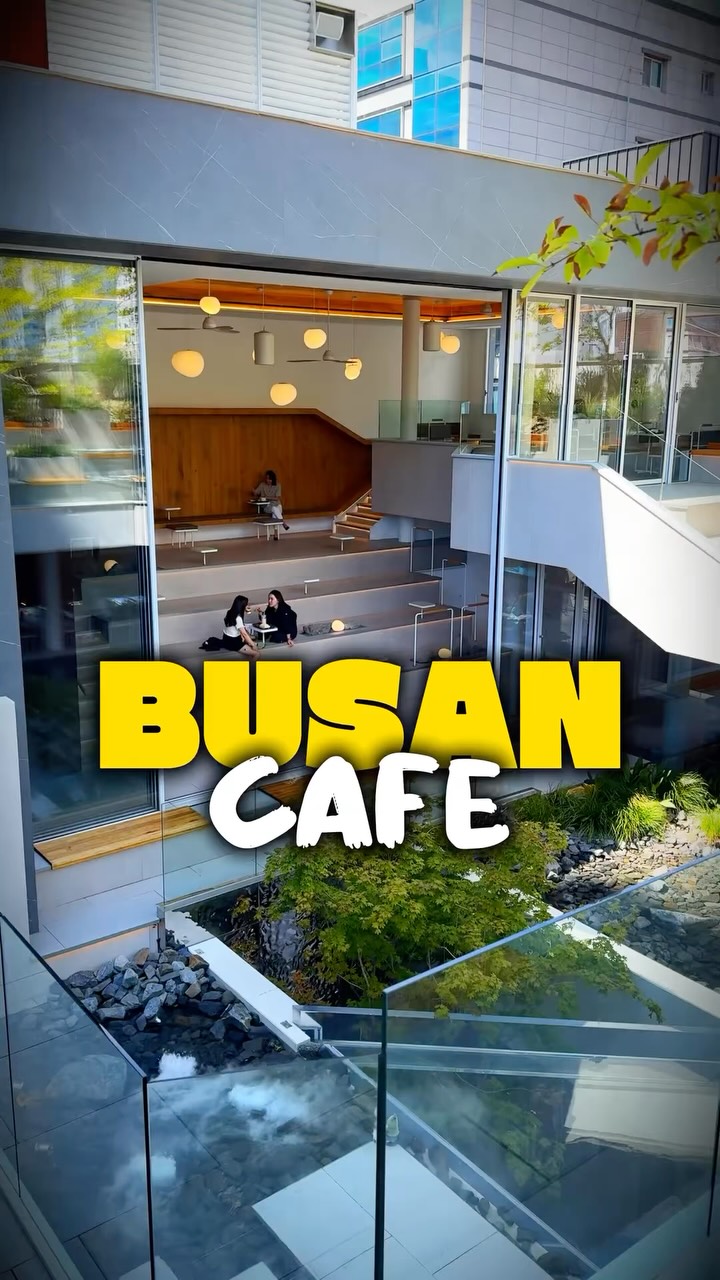 Busan Cafe Offers Forest Ambiance and No-Kids Zone