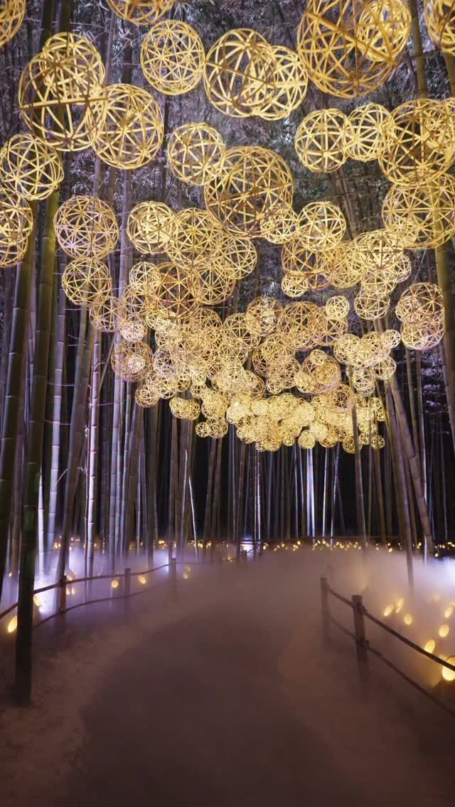 Arashiyama's Enchanting Nighttime Bamboo Illumination