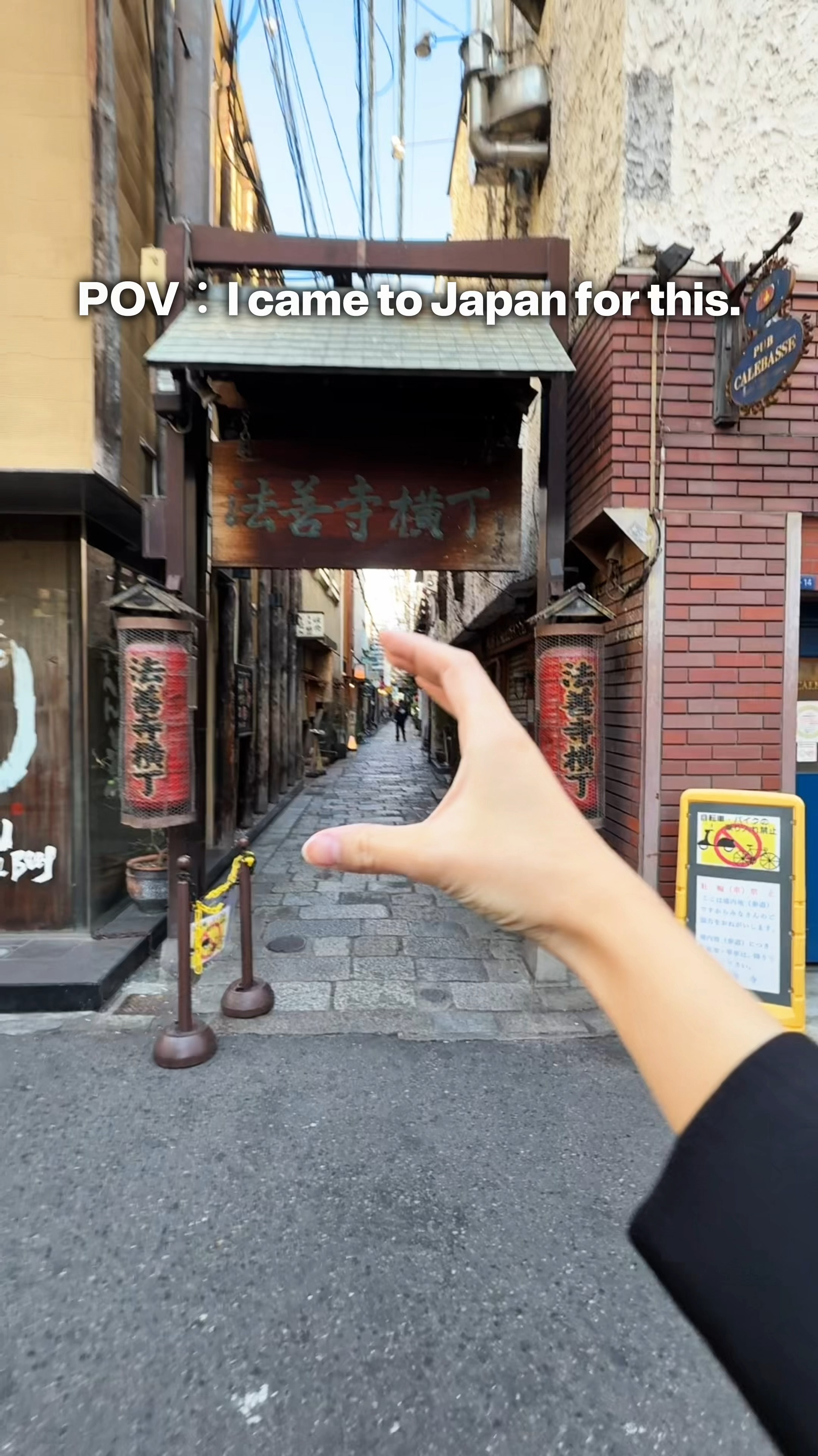 Osaka's Vibrant Entertainment Districts